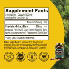 Load image into Gallery viewer, Immune Extra Prevention (Jing Guan Fang) 淨冠方