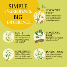 Load image into Gallery viewer, Immune Extra Prevention (Jing Guan Fang) 淨冠方